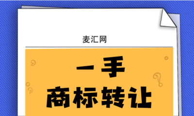 技術(shù)轉(zhuǎn)讓中的知識(shí)產(chǎn)權(quán)保護(hù) 聚焦軟件技術(shù)轉(zhuǎn)讓的關(guān)鍵策略與法律考量