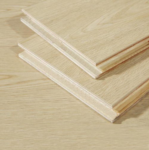 地面裝修材料選購全攻略 從材質特性到空間適配